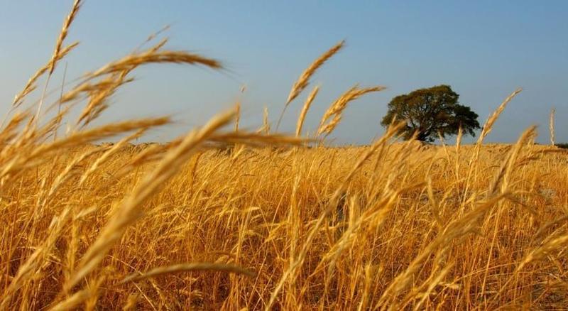 Herdade Do Gizo Cuba Eksteriør bilde
