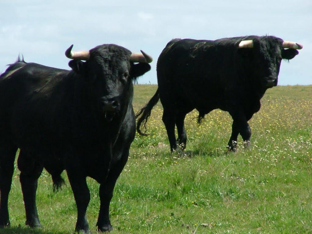 Herdade Do Gizo Cuba Eksteriør bilde